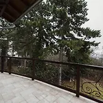 Hilltop Wellness Villa-big Garden, Sauna, Hot Tube Villa Pécs