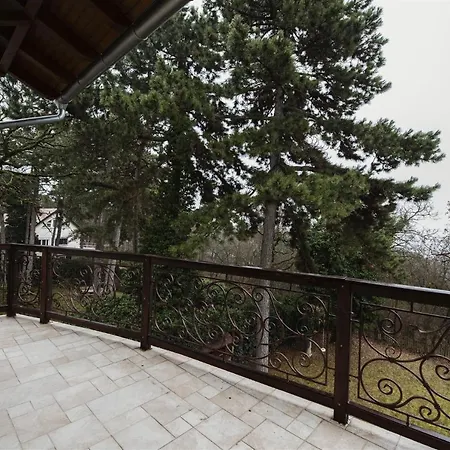 Hilltop Wellness Villa-big Garden, Sauna, Hot Tube Villa Pécs