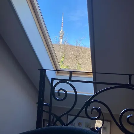 Hilltop Wellness Villa-big Garden, Sauna, Hot Tube Villa Pécs