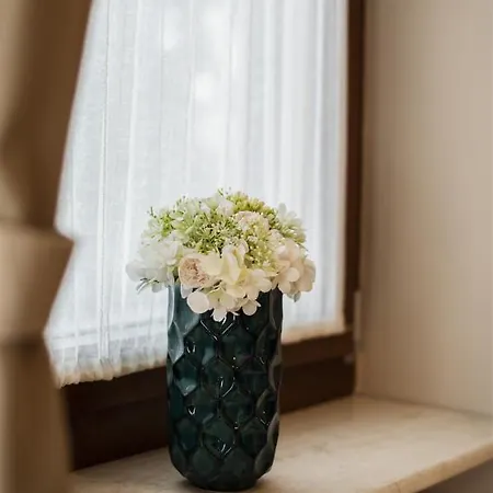 Hilltop Wellness Villa-big Garden, Sauna, Hot Tube Villa Pécs