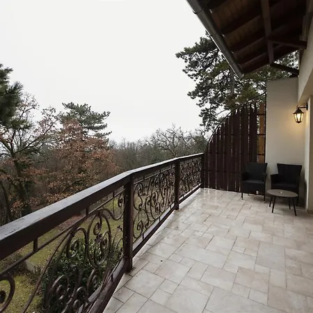 Hilltop Wellness Villa-big Garden, Sauna, Hot Tube Villa *