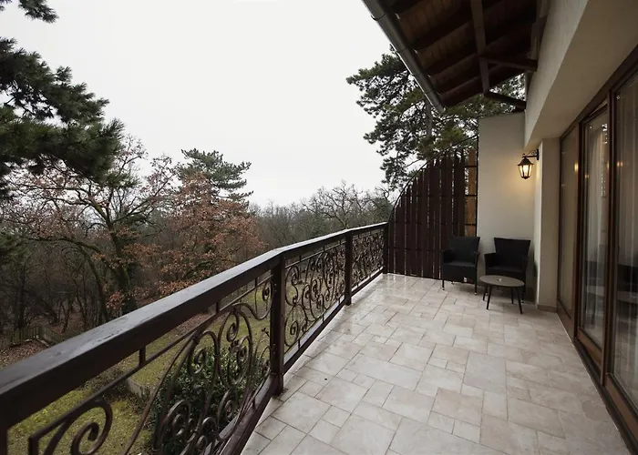 Hilltop Wellness Villa-big Garden, Sauna, Hot Tube Villa *